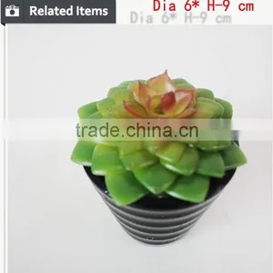 Mini Artificial Succulent Plants in Glass Bowl Potted Mini Succulents thumbnail-5