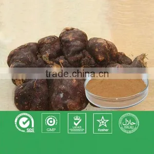 Hot Sell Fallopia Multiflora Plant Extract thumbnail-1
