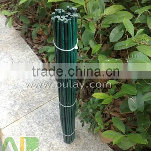 Green Bamboo Dried,round Flower Sticks for Sale thumbnail-1