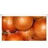 Fresh Red Onion thumbnail-1