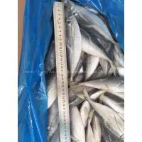 Supply Horse Mackerel thumbnail-1