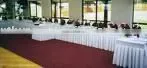 Table Skirting thumbnail-1