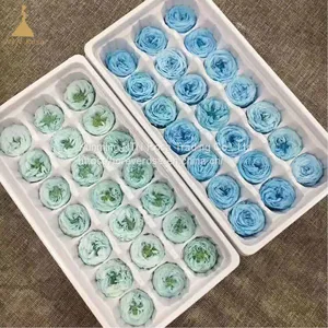 Wholesale Grade A Preserved Austin Rose Flower For Lovers, Friends, Home Decor thumbnail-1