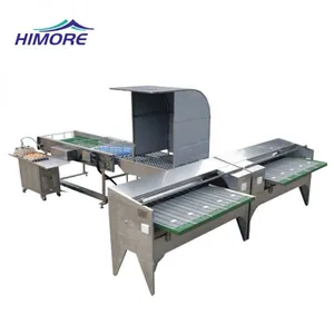 Automatic Eggs Grading Sorting Machine Eggs Sorter With Capacity 10000pcs/h thumbnail-1