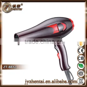 ZT-8812 Hair Dryer Hot Sale New Pro Super Hair Dryer Wet 2 Dry Hand Dryer thumbnail-2