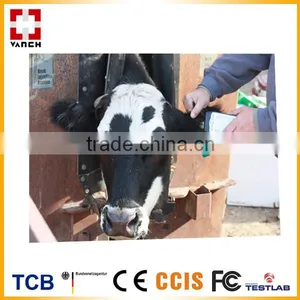 RFID UHF Rfid Animal Tracking Cattle Ear Tags Quality Choice thumbnail-6