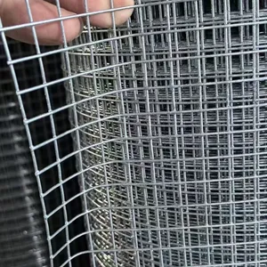 Welded Wire Mesh Rolls for Agricultural and Garden Use Square Hole Design thumbnail-1