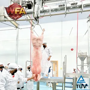 Pig Whole Slaughterhouse Line Machine Swine Abattoir Machinery Hog Butchery Machine Pork Meat Processing Plant CE Certification thumbnail-1