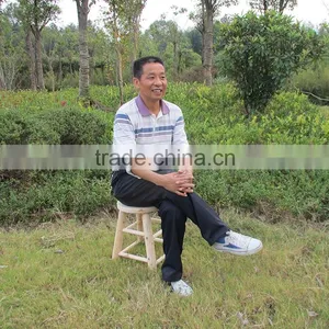 Outdoor Wooden Garden Stool thumbnail-3