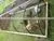 Chicken Plastic Extruded Netting/Poultry Netting thumbnail-6