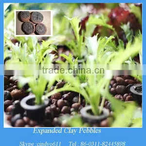 Agriculture Plants Soil Lightweight Expanded Clay Aggregate thumbnail-1