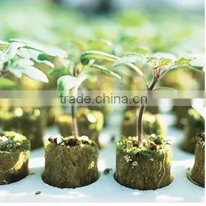 Seedling Rockwool Hydroponic System thumbnail-3