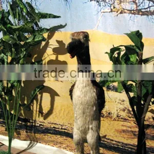 Animatronic Animal Great Auk for Sale thumbnail-1