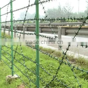 Hot Dipped Galvanized and Powder Coating Barbed Wire Hot Sale thumbnail-1