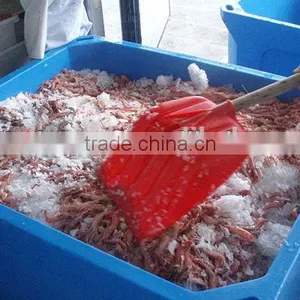 800L Cold Chain Logistics Cooler Box Ice Box for Commercial Fishing thumbnail-3