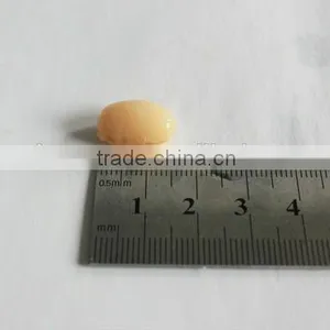 FDA KOSHER HACCP Factory Directly Supply Canned White Kidney Beans thumbnail-3