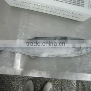 Spanish Mackerel Sale thumbnail-1