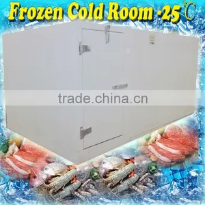 Meat Storage PU Freezer Room With -25 Degrees thumbnail-1