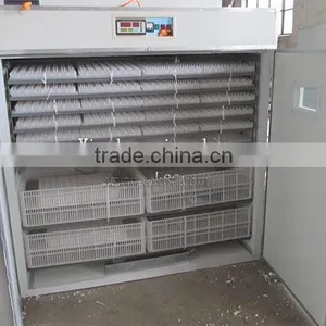 Strongly Recommended Commercial Used Poultry Incubator for Sale thumbnail-3