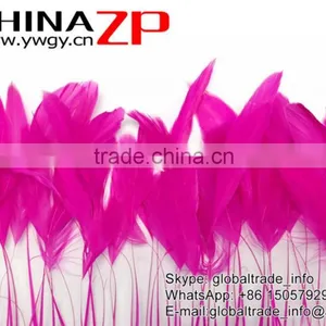 NO.1 Supplier ZPDECOR Wholesale 30-35cm Length Fashion Dyed Hot Pink Stripped Coque Chicken Tail Feathers for Sale thumbnail-3