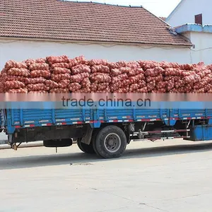 Many Types Red Onions From Onion Exporters China thumbnail-4