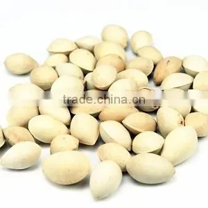 Yin Xing Dried Ginkgo Fruits Ginko Biloba thumbnail-2