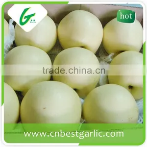 2016 New China Bulk Fresh Crown Pear thumbnail-4