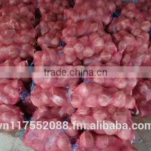 Vietnam Cheap Mature Semi Husked Coconut thumbnail-5