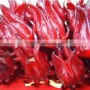 GMP Natural High Quality Water Soluble Hibiscus Extract Powder/Roselle Extract Powder thumbnail-4