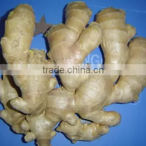 Organic Fresh Ginger thumbnail-6