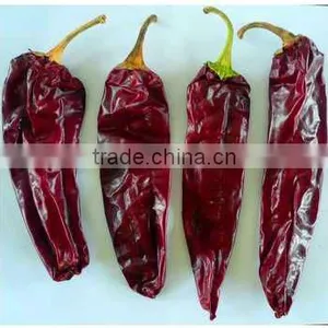 Paprika Chilli thumbnail-1