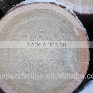 PINE/ SPRUCE/ BIRCH / HARDWOOD / LARCH WOOD LOGS TIMBER RUSSIAN ORIGIN WHOLESALE thumbnail-1