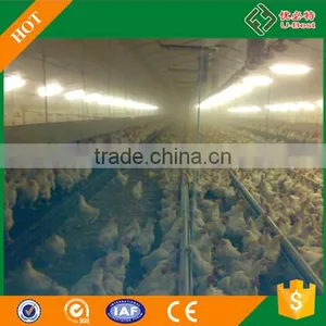 Female and Male Chick Automatic Breeder Poultry House for Floor Breeding thumbnail-4
