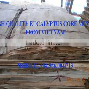 B GRADE EUCALYPTUS CORE VENEER FROM VIETNAM thumbnail-1