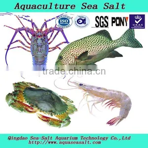 Sea Horse Aquaculture Sea Salt For Lobster Shrimp Farming thumbnail-1