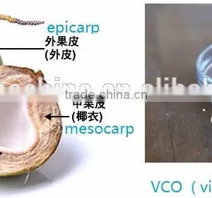 High Quality Newest Cold Pressing Coconut Oil Press Machine For Virgin Coconut Oil thumbnail-2