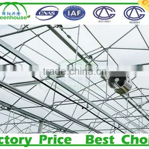 High Quality Galanized Steel Pipe fo Greenhouse Frame thumbnail-6