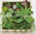 SJ0409032 Artificial Wall Plant Indoor Plastic Green Wall thumbnail-2