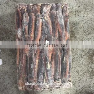 Frozen Thai Illex Squid thumbnail-1