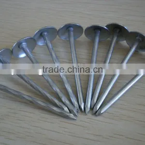 Galvanized Roofing Nails With Umbreall Head thumbnail-1