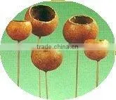 Natural Dry Flowers thumbnail-1