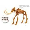 Toys041: Boys Dinosaur Archaeology Skeleton 3-6Y Early Education for Child Kids Intellectual Development 13.5cm*21cm*5cm thumbnail-3