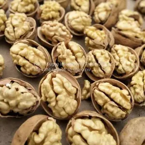 Walnut Inshell thumbnail-5