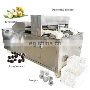 Runxiang Hot Selling Cheap Oli Olive Longan Lychee Apple Date Pitter thumbnail-2