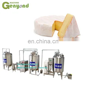 Factory High Quality Machine for Making Cheese thumbnail-1