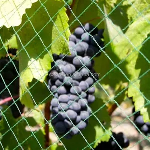 HDPE Grape Protection Net Anti Bird Net Agricultural Vineyard Hail Protection Net thumbnail-1
