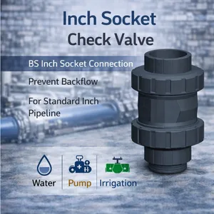 PVC Check Valve BS Socket Inch Non Return Valve for Water System thumbnail-1