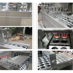 Ice Cream Cup Filling Sealing Machine thumbnail-2