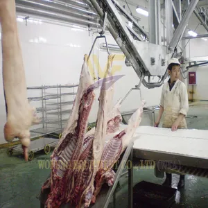 Turnkey Pig Slaughterhouse Machinery Project Hog Abattoir Line Equipment HACCP Swine Butchery Machine Pork Processing Plant thumbnail-3