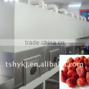Industrial Tunnel Microwave Seeds/nut Roasting Machine thumbnail-1